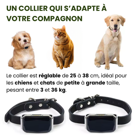Collier GPS Marnoval™ – Sans Abonnement, Portée Illimitée