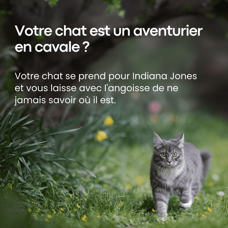 Marnoval - Traceur GPS 3 en 1 Pour Chat